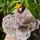 Spessartine Garnet on Muscovite from Skardu, Pakistan - image 6