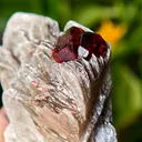Spessartine Garnet on Muscovite from Skardu, Pakistan - image 5