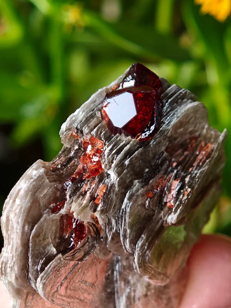 Spessartine Garnet on Muscovite from Skardu, Pakistan - image 8