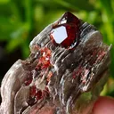 Spessartine Garnet on Muscovite from Skardu, Pakistan - image 8