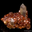 Spessartine Garnet on Quartz - image 4