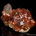 Spessartine Garnet on Quartz - image 6