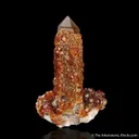 Spessartine Garnet on Smoky Quartz - image 1
