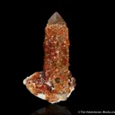 Spessartine Garnet on Smoky Quartz - image 5