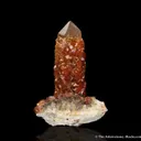 Spessartine Garnet on Smoky Quartz - image 6