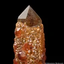Spessartine Garnet on Smoky Quartz - image 2