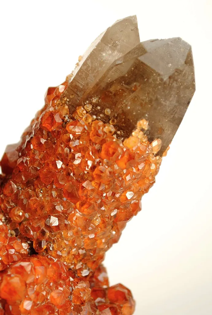 Spessartine Garnet on Smoky Quartz - image 6