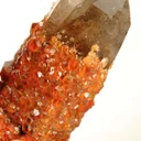 Spessartine Garnet on Smoky Quartz - image 6