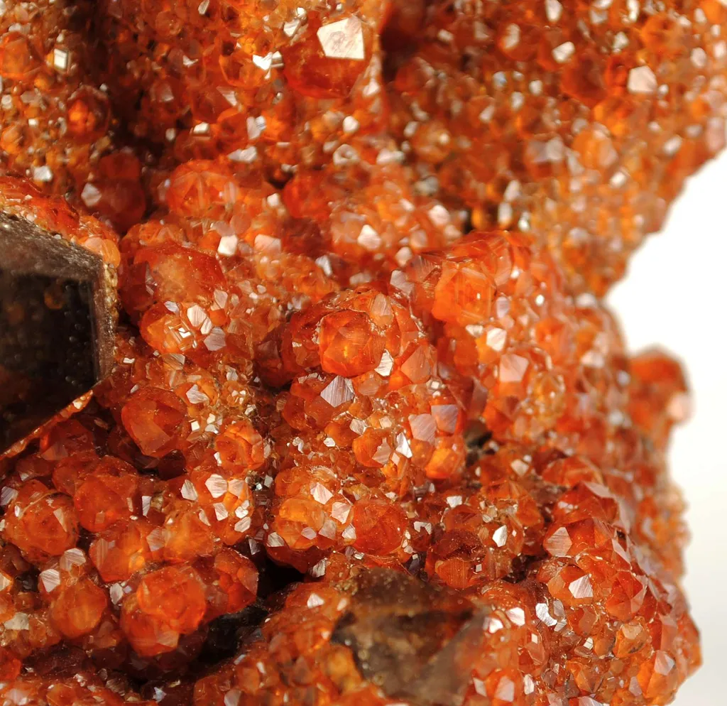 Spessartine Garnet on Smoky Quartz - image 5