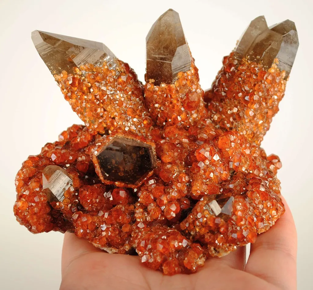 Spessartine Garnet on Smoky Quartz - image 3