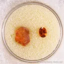 Spessartine Garnet (Rough & Cut set) - image 1