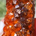 specimen video