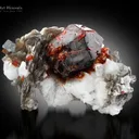 Spessartine Garnet with Muscovite and Feldspar - image 1