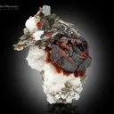 Spessartine Garnet with Muscovite and Feldspar - image 2
