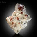 Spessartine Garnet with Quartz and Albite from Pakistan - image 2