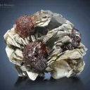 Spessartine Garnet with Quartz and Muscovite from Shengus Pakistan - image 1