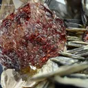 Spessartine Garnet with Quartz and Muscovite from Shengus Pakistan - image 2