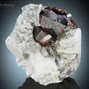 Spessartine Garnet with Quartz on Matrix from Skardu Pakistan - image 2
