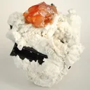 Spessartine Garnet With Schorl in Albite - image 2