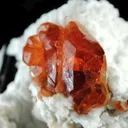 Spessartine Garnet With Schorl in Albite - image 3