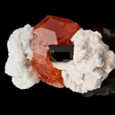 Spessartine Garnet With Schorl on Albite - image 1