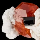 Spessartine Garnet With Schorl on Albite - image 2