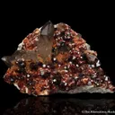 Spessartine Garnet with Smoky Quartz - image 3