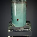 Spessartine on Beryl var. Aquamarine - image 5