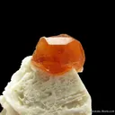 Spessartine on Feldspar, with Beryl var. Goshenite - image 2