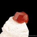Spessartine on Feldspar, with Beryl var. Goshenite - image 4