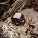 Spessartine on Muscovite - image 3