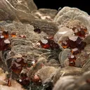 Spessartine on Muscovite - image 1