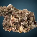 Spessartine on Muscovite - image 2