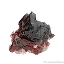 Spessartine on Quartz and Albite - image 2