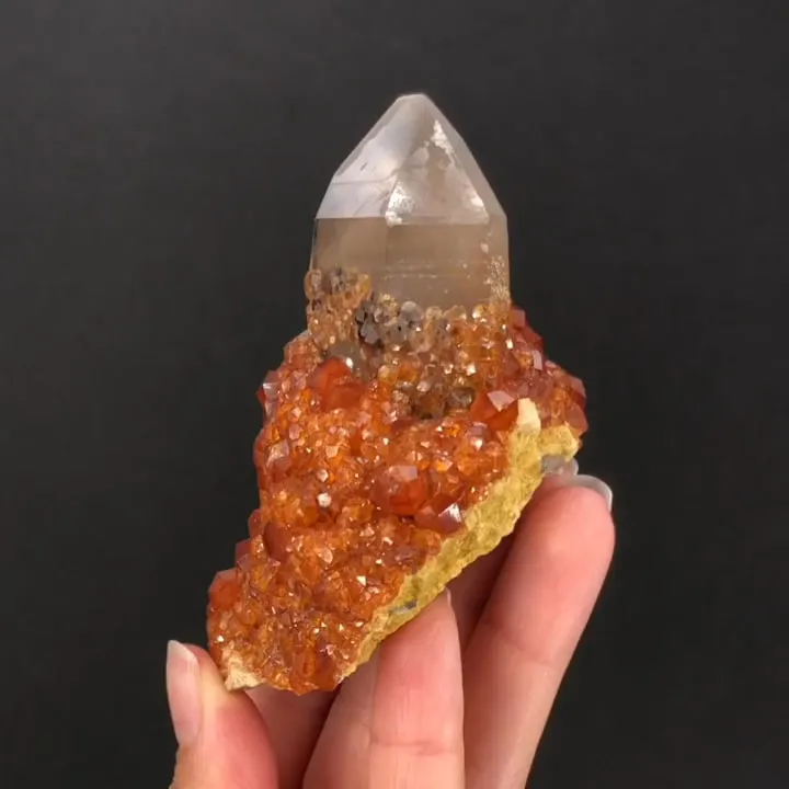 Spessartine on Smoky Quartz - image 2