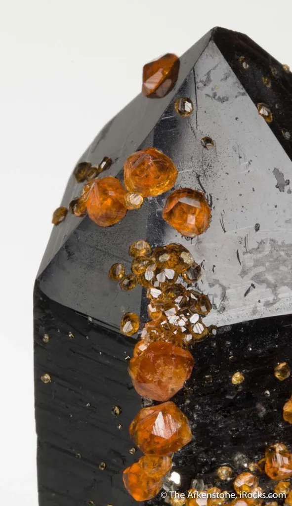 Spessartine on Smoky Quartz - image 5