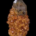 Spessartine on Smoky Quartz - image 4