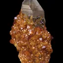 Spessartine on Smoky Quartz - image 6