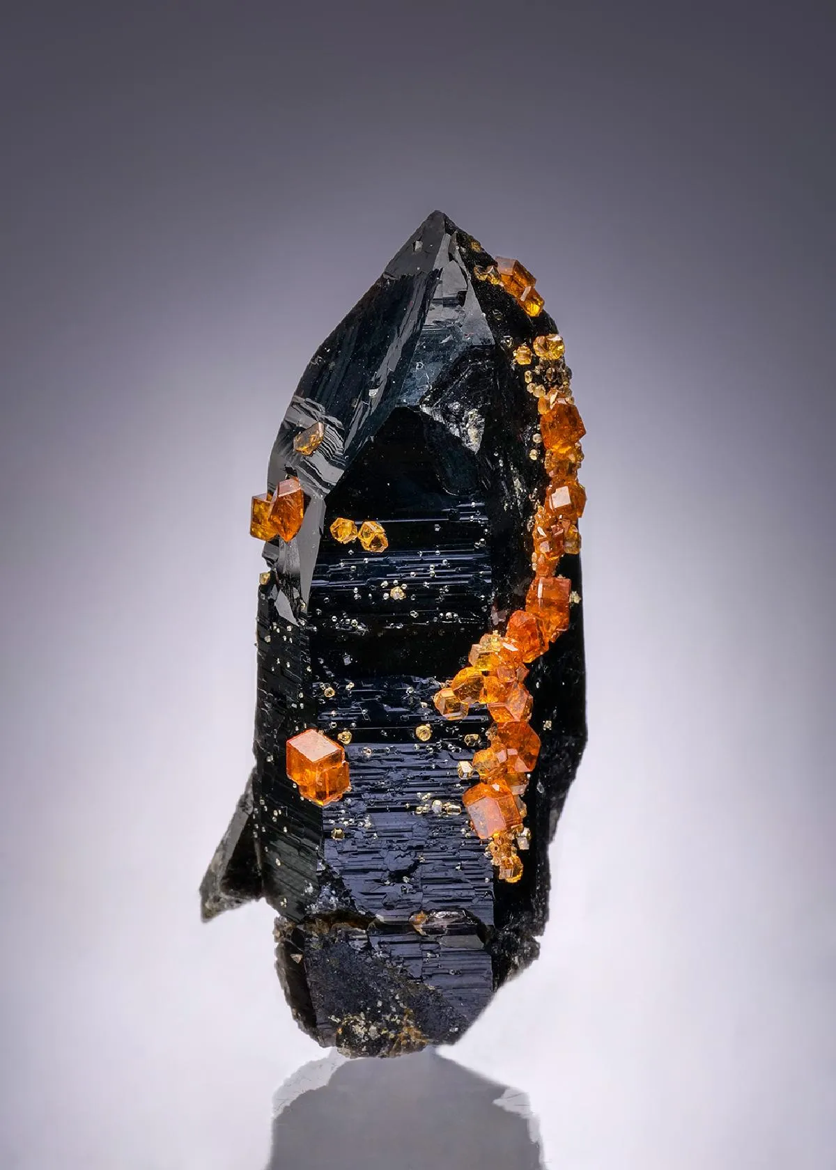Spessartine on Smoky Quartz - image 1