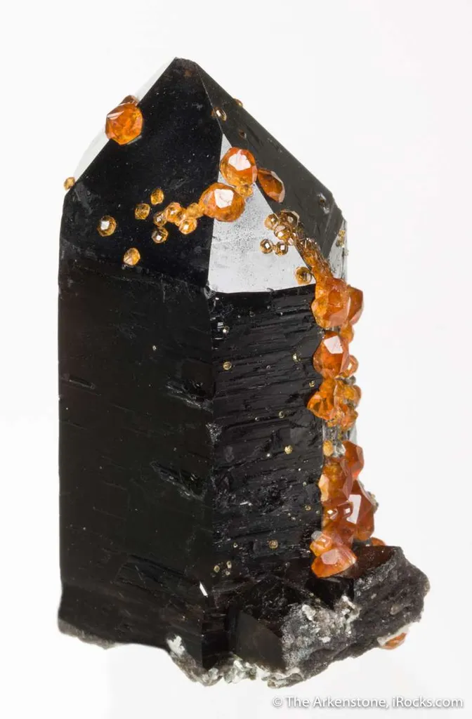 Spessartine on Smoky Quartz - image 6