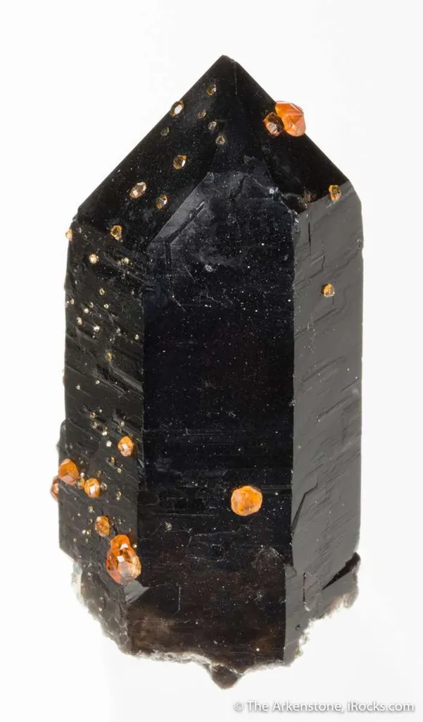 Spessartine on Smoky Quartz - image 4