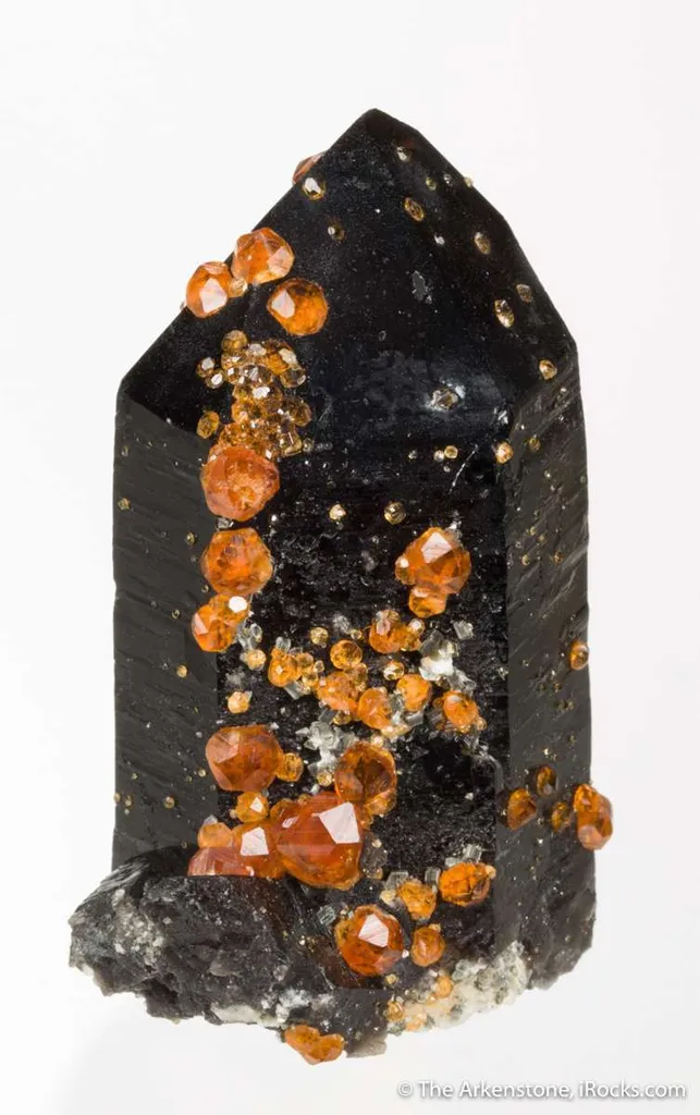 Spessartine on Smoky Quartz image