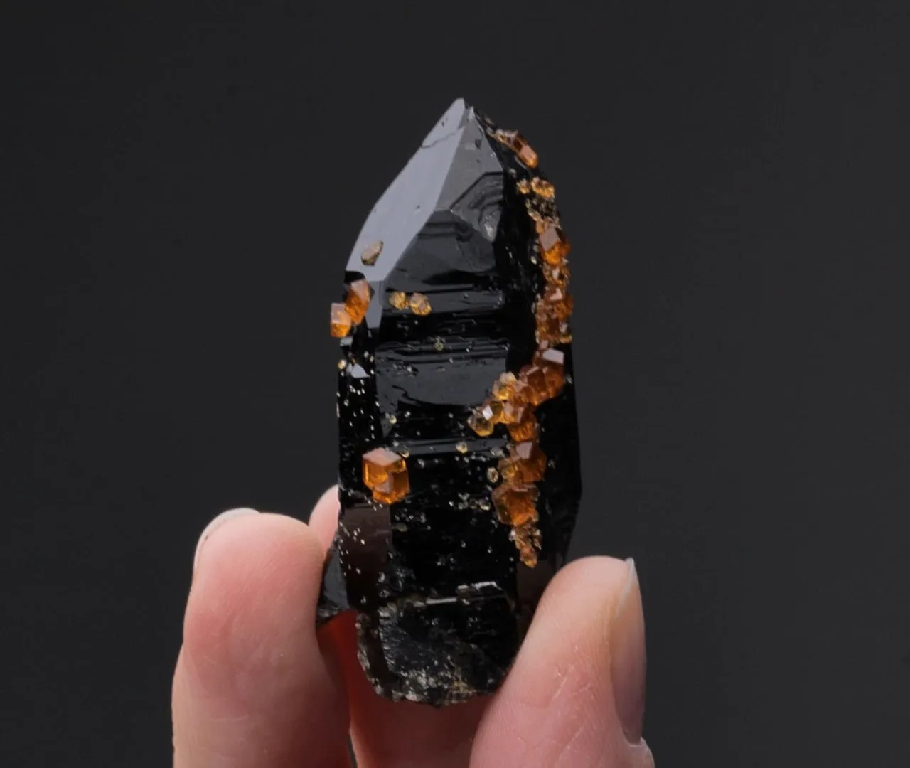 Spessartine on Smoky Quartz - image 2