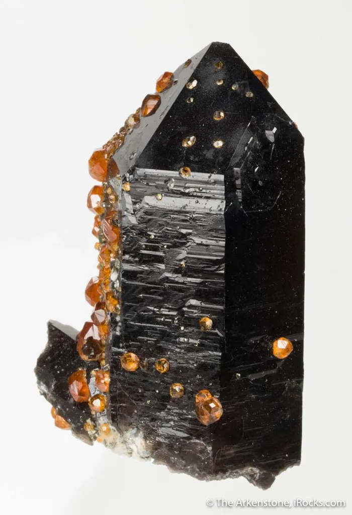 Spessartine on Smoky Quartz - image 3