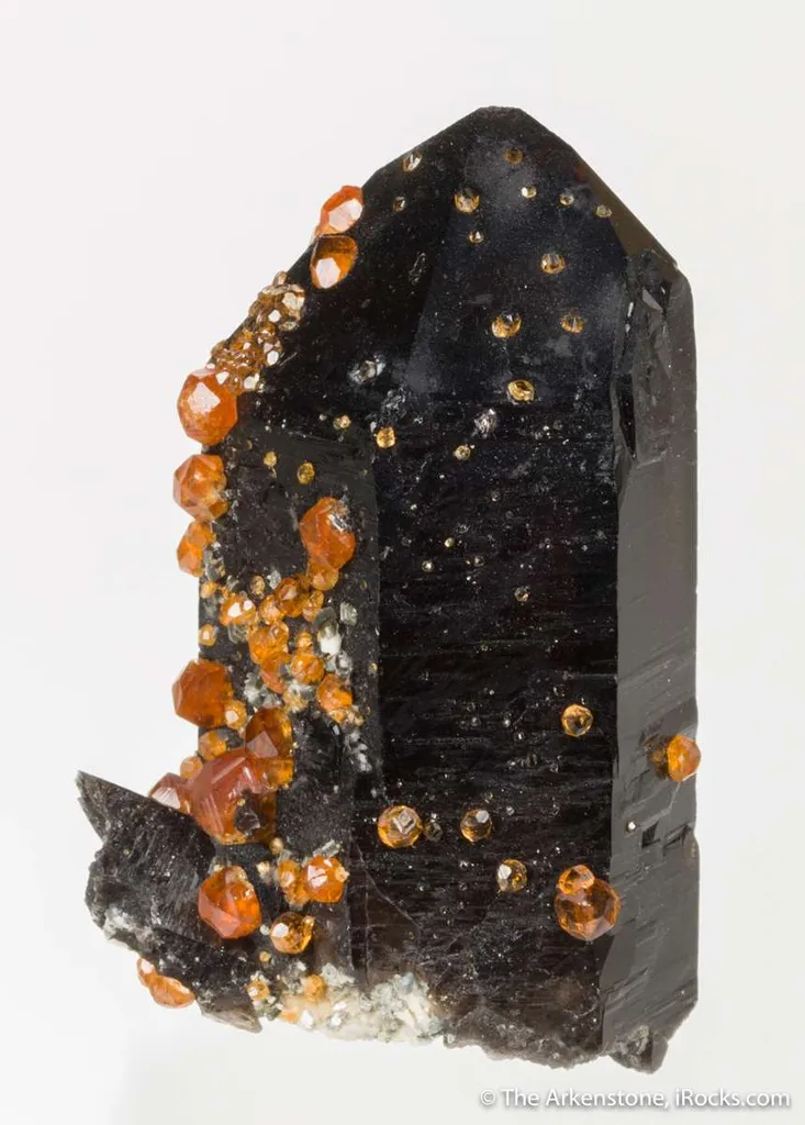 Spessartine on Smoky Quartz - image 2