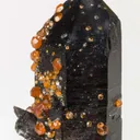 Spessartine on Smoky Quartz - image 2