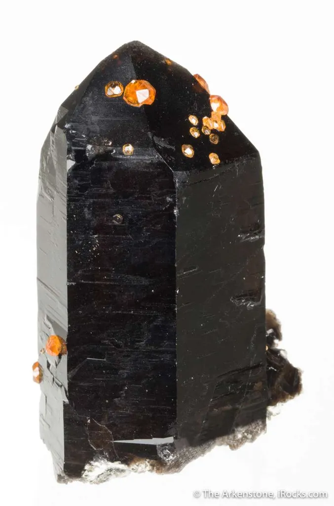 Spessartine on Smoky Quartz - image 7
