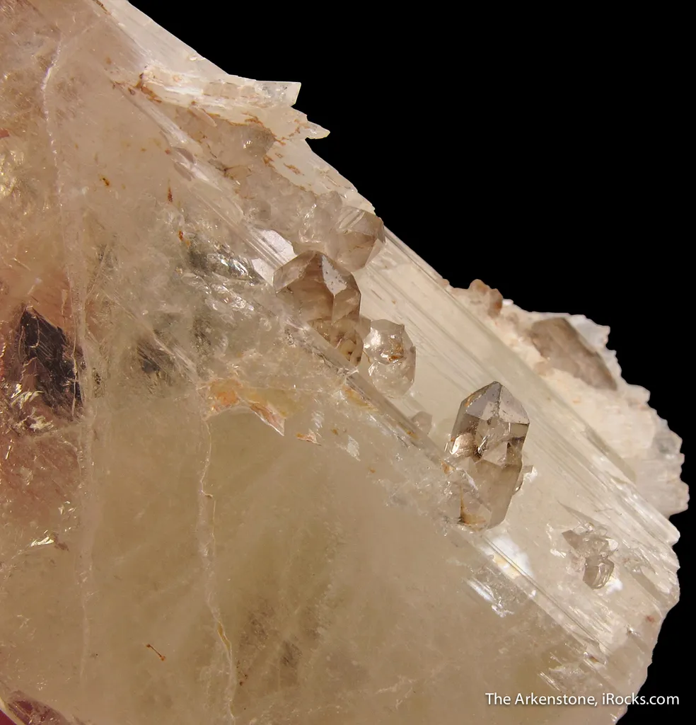 Spessartine on Spodumene with Smoky Quartz - image 5