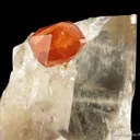 Spessartine on Spodumene with Smoky Quartz - image 4