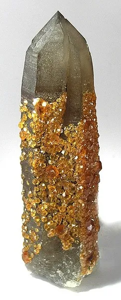 Spessartine, Quartz (Var: Smoky Quartz) image